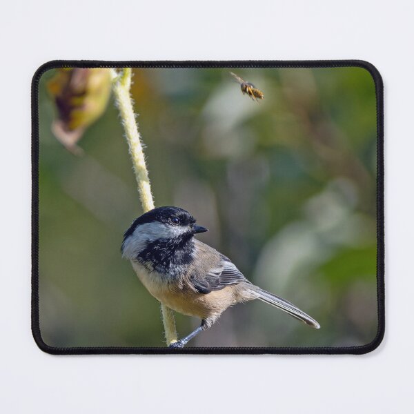 Item preview, Black-Capped Chickadee with bee flying overhead designed and sold by lisavonbiela.