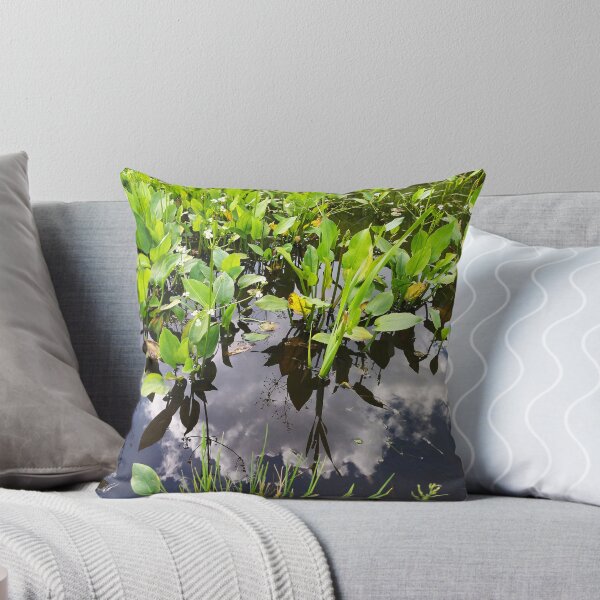 Item preview, Alisma plantago-aquatica Photo designed and sold by Sky-99.