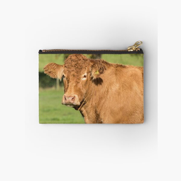 Item preview, Limousin Cow VI designed and sold by Jane Stanley Photography.