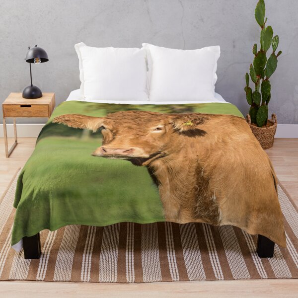 Item preview, Limousin Cow VI designed and sold by Jane Stanley Photography.