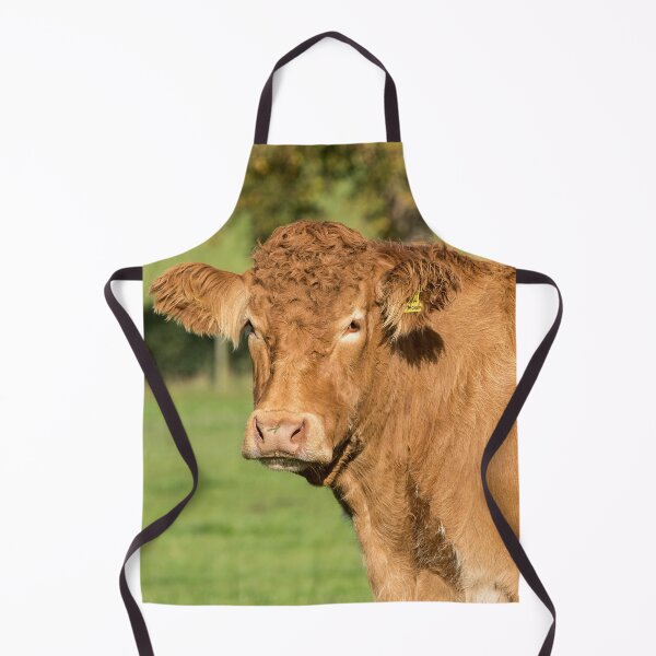 Item preview, Limousin Cow VI designed and sold by Jane Stanley Photography.