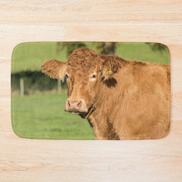 Item preview, Limousin Cow VI designed and sold by Jane Stanley Photography.