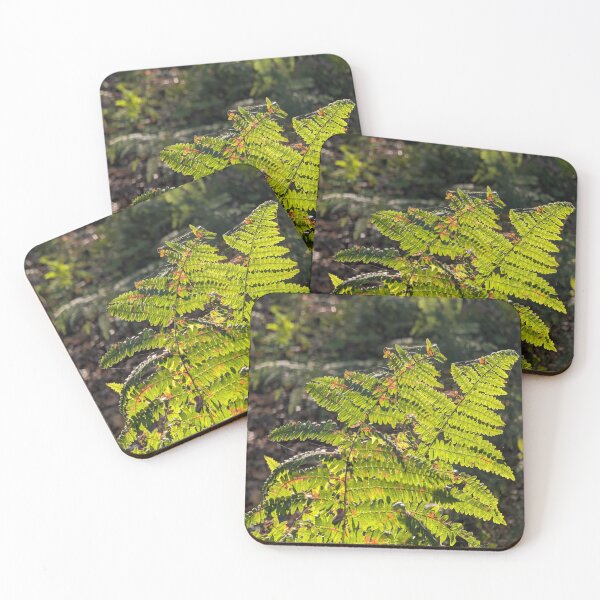 Item preview, Ferns and sunlight designed and sold by TheRuth.