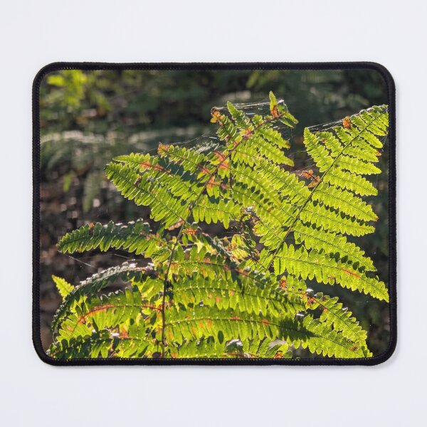 Item preview, Ferns and sunlight designed and sold by TheRuth.