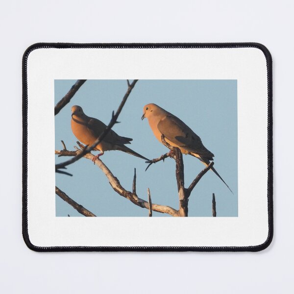 Item preview, Two Doves Having a Chat designed and sold by Wonders Of Paradise.