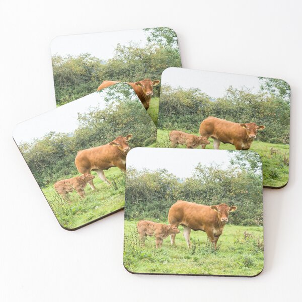 Item preview, Limousin Cow VII designed and sold by Jane Stanley Photography.