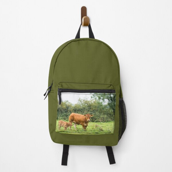 Item preview, Limousin Cow VII designed and sold by Jane Stanley Photography.