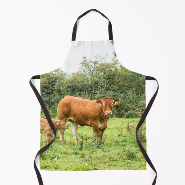 Item preview, Limousin Cow VII designed and sold by Jane Stanley Photography.