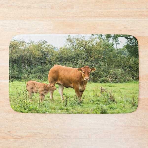 Item preview, Limousin Cow VII designed and sold by Jane Stanley Photography.
