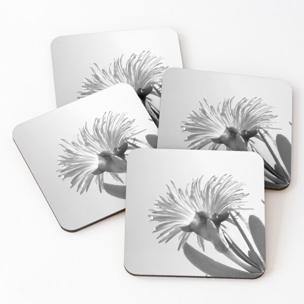 Item preview, SOUR FIG - Carpobrotus edulis - Indigenous to South Africa designed and sold by Bronwyn Davies.