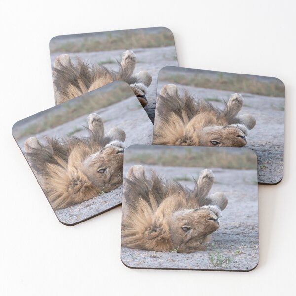 Item preview, Savuti’s King at Play — Sekoti Rolling in the Dust designed and sold by DavideAntoniani.
