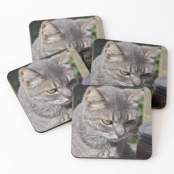 Item preview, Sinister look cat designed and sold by McFleur's Lens.