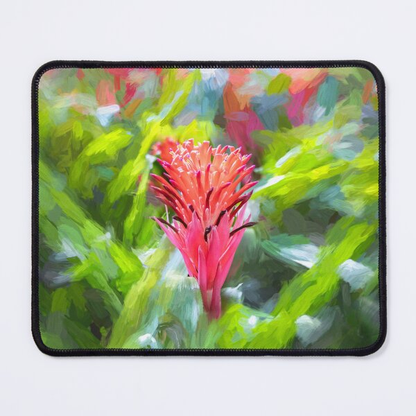 Artikelvorschau, Blühende Bromelien Red Guzmania X100 entworfen und verkauft von RichFrancoCars.