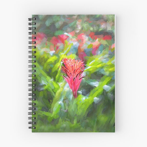 Item preview, Flowering Bromeliads Red Guzmania X100 designed and sold by RichFrancoCars.