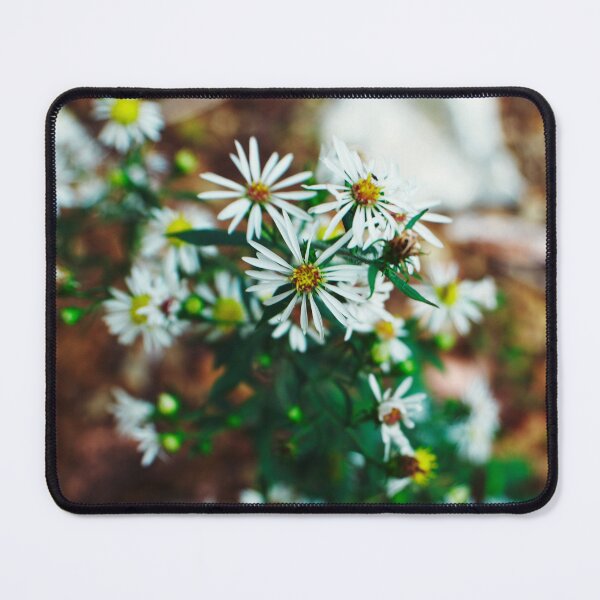Item preview, Delicate Wildflower Nature Macro Photography designed and sold by CKsLens.