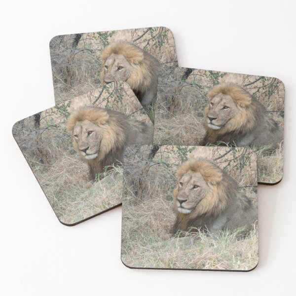 Item preview, Savuti’s Regal Bloodline — Sekoti, Heir of Sekekama and Matsumi designed and sold by DavideAntoniani.