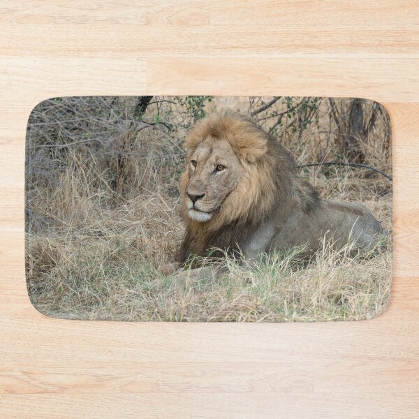Item preview, Savuti’s Regal Bloodline — Sekoti, Heir of Sekekama and Matsumi designed and sold by DavideAntoniani.