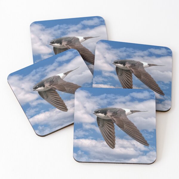 Item preview, House Martin in Flight designed and sold by Tom McPherson Photography.