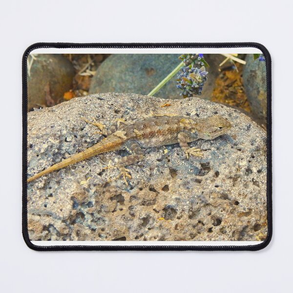 Item preview, A Grey Lizard on Volcanic Rock designed and sold by Wonders Of Paradise.