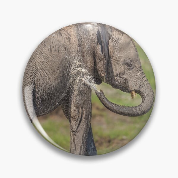 Item preview, Baby Elephant Playing in the Chobe River Botswana designed and sold by PhotoArt by Joan Carroll.