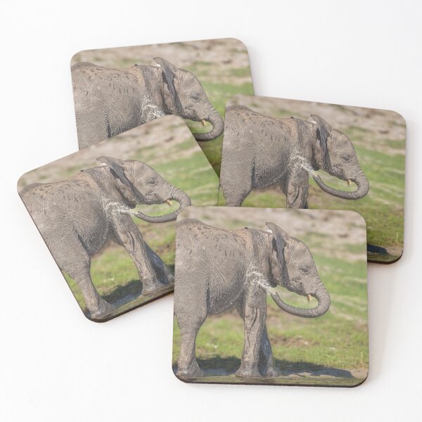 Item preview, Baby Elephant Playing in the Chobe River Botswana designed and sold by PhotoArt by Joan Carroll.