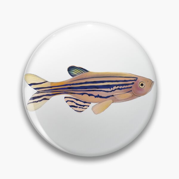 Item preview, Zebrafish designed and sold by LittleClayFrog.