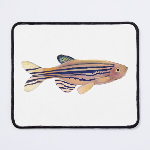 Item preview, Zebrafish designed and sold by LittleClayFrog.