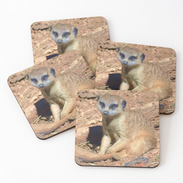 Item preview, Meerkat Relaxing on a Sunny Day designed and sold by Savannah Gibbs.