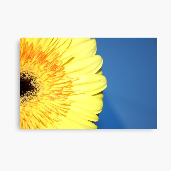 A Splash Of Yellow Metal Print