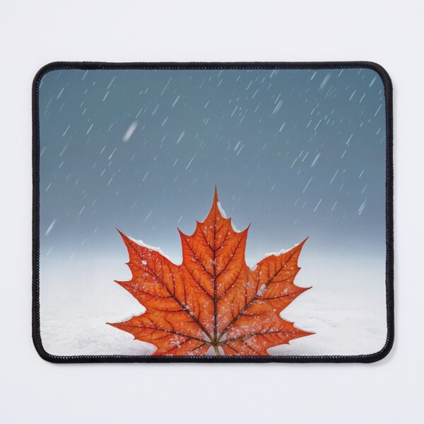 Item preview, Maple Leaf In Fresh Snowfall designed and sold by Maria Dryfhout.