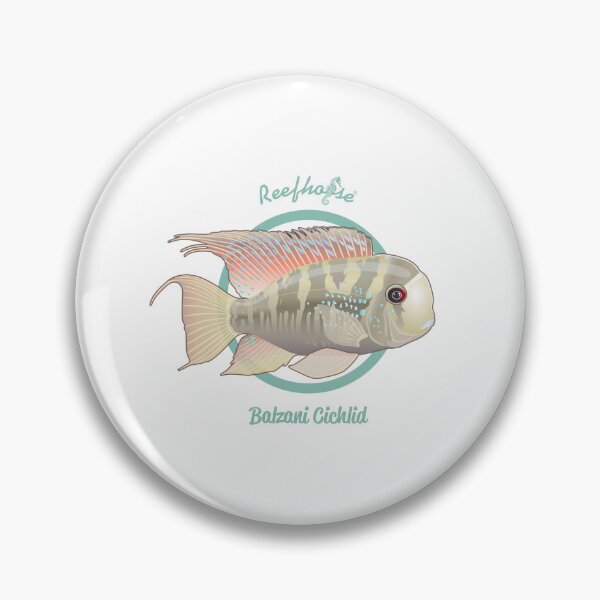 Item preview, Balzani Cichlid designed and sold by KaplanCrypto.
