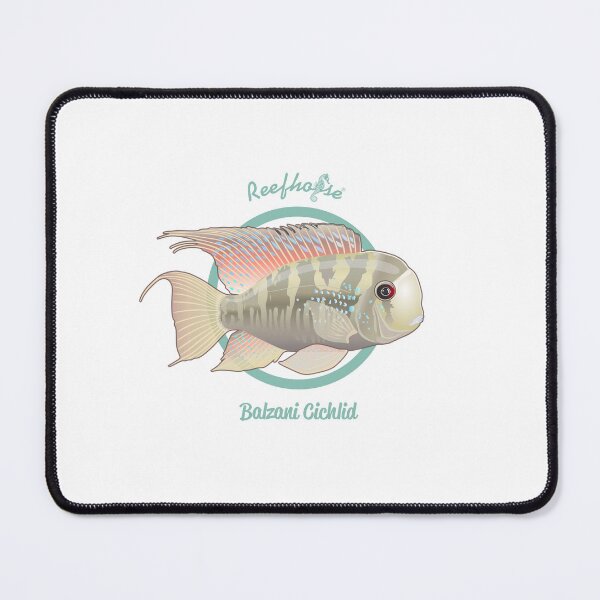 Item preview, Balzani Cichlid designed and sold by KaplanCrypto.