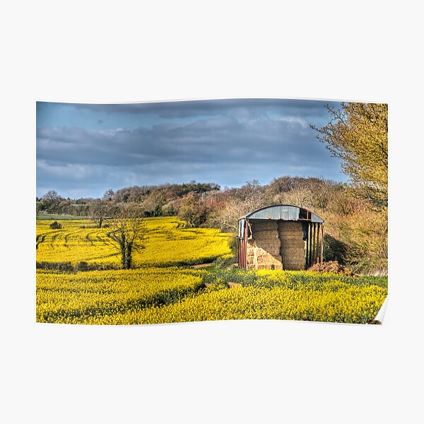Mellow Yellow Poster