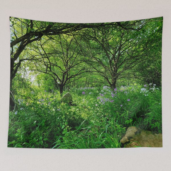 Item preview, Enchanted Woodlands designed and sold by Rebecca Jane.