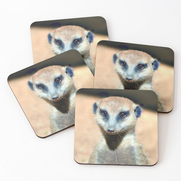 Item preview, Alert Meerkat in the Sun designed and sold by Savannah Gibbs.