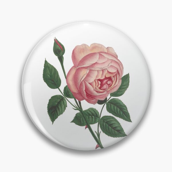 Item preview, Pink rose and thorns designed and sold by Victoriana Brooke.