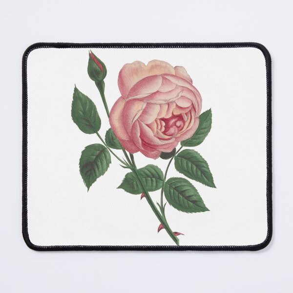 Item preview, Pink rose and thorns designed and sold by Victoriana Brooke.