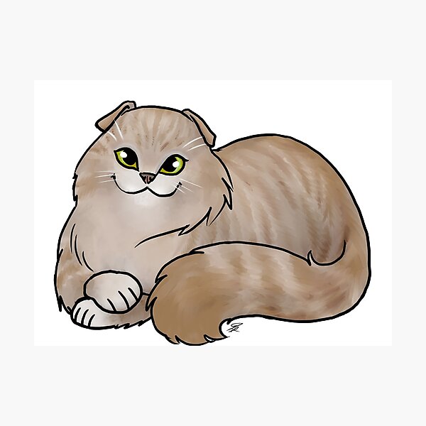 Item preview, Cat - Scottish Fold Longhair - Dilute Tabby designed and sold by Jennifer Stolzer.