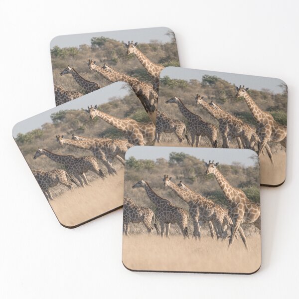 Artikelvorschau, Anmutige Riesen der Goldenen Ebenen – Giraffen von Botswana in der Abenddämmerung entworfen und verkauft von DavideAntoniani.