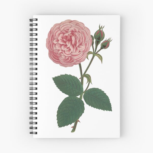 Item preview, Pink Rose designed and sold by Historical Beauty.