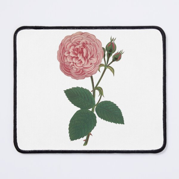 Item preview, Pink Rose designed and sold by Historical Beauty.