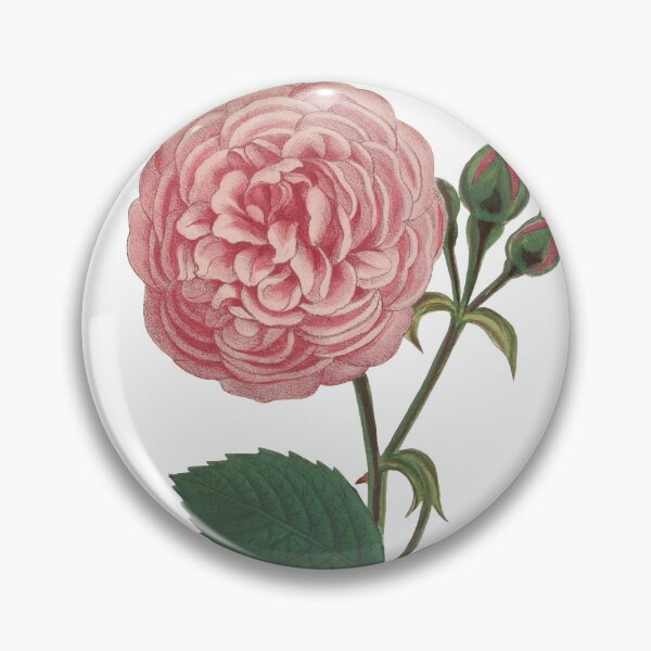 Aperçu de l'œuvre Rose rose créée et vendue par Historical Beauty.
