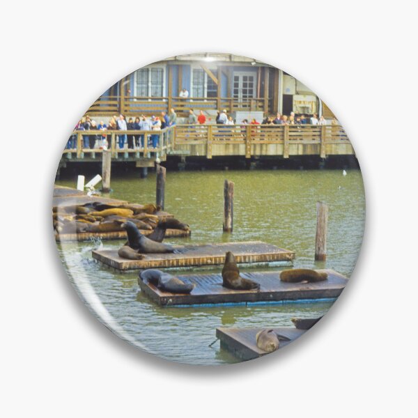 Item preview, Sea Lions designed and sold by tomg.