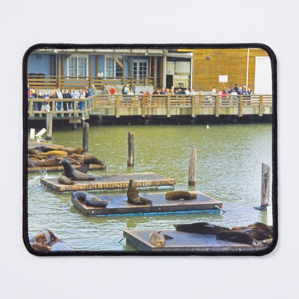 Item preview, Sea Lions designed and sold by tomg.