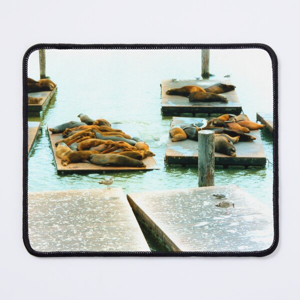 Item preview, Basking Lions designed and sold by tomg.