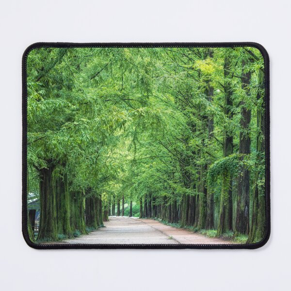 Item preview, Damyang Metasequoia Road designed and sold by aaronchoi.