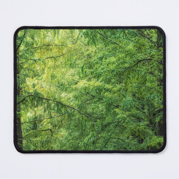 Item preview, Damyang Metasequoia Road designed and sold by aaronchoi.