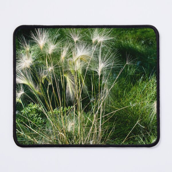 Item preview, Grasses designed and sold by CanadianWild418.