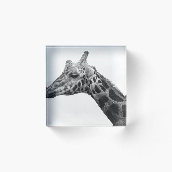 Artikelvorschau, Rothschild-Giraffe entworfen und verkauft von Imbeccable Images.