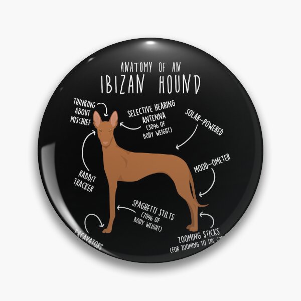Item preview, Ibizan Hound Dog Anatomy designed and sold by Clara Hollins.